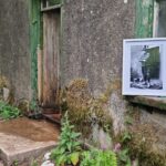 WhatsApp Image 2025-05-23 at 15.25.35_dced7a39