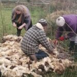 WhatsApp Image 2025-06-23 at 20.51.21_6158130d